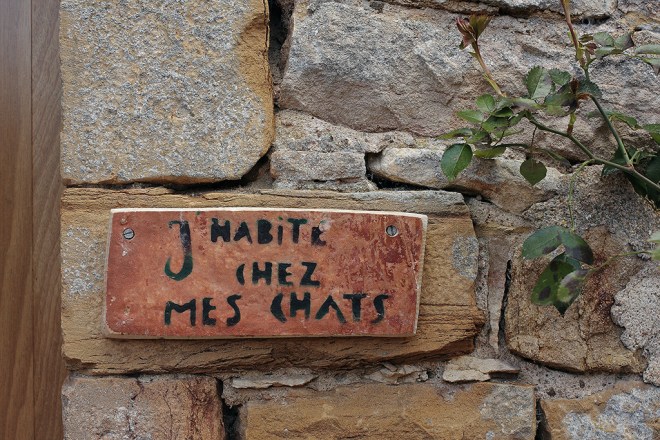 Cormatin | chilitonka