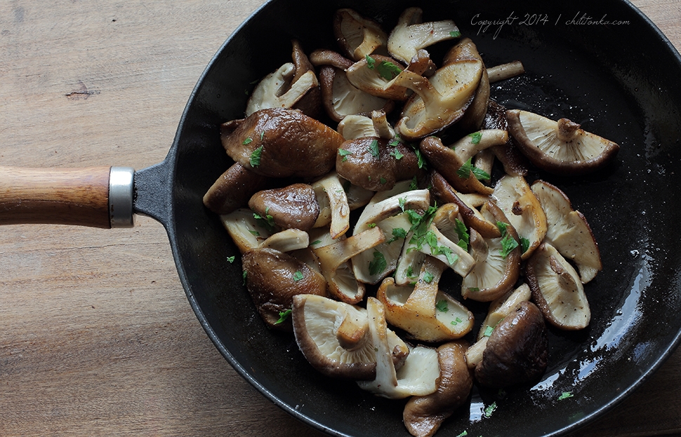 Shii take | chilitonka