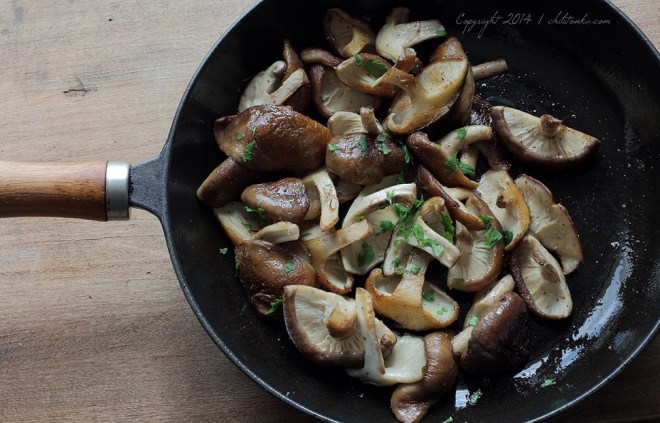 Shii take | chilitonka