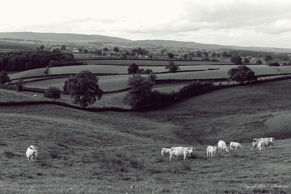 Panorama | chilitonka