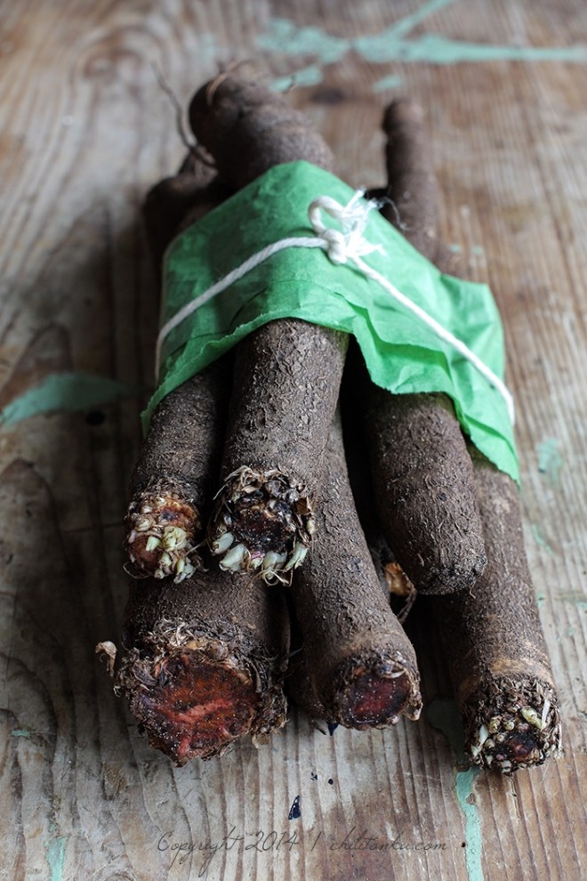 Skorzonera | chilitonka