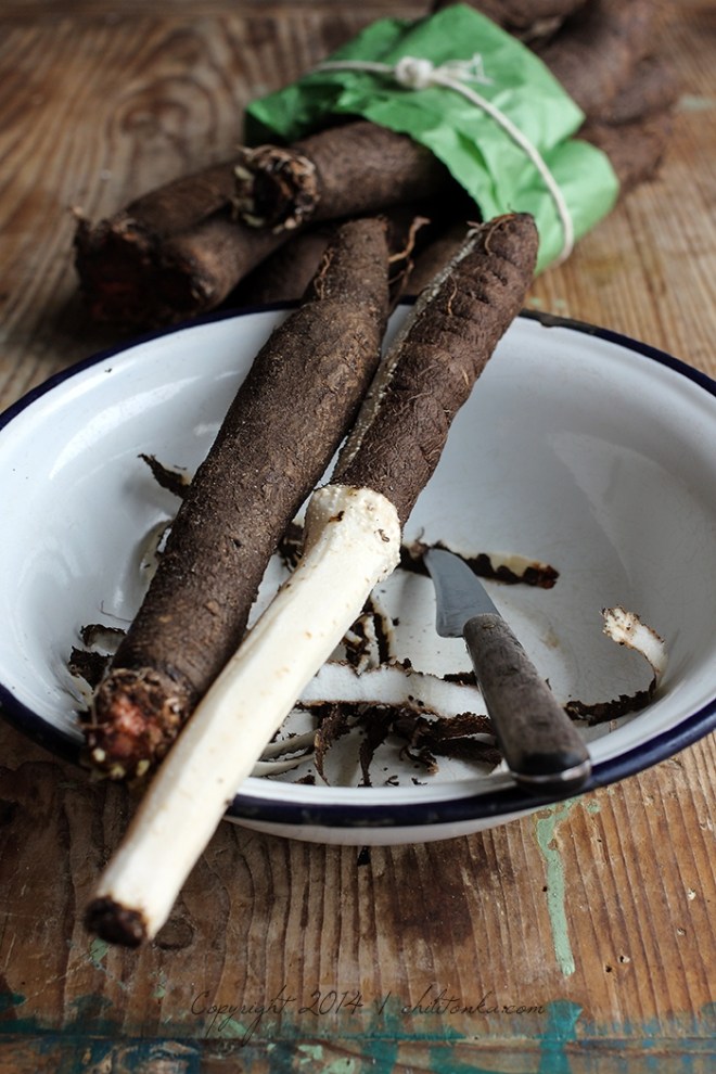 Skorzonera | chilitonka