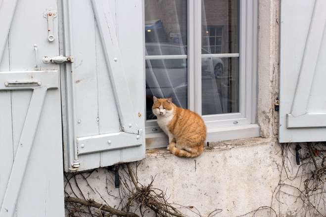 Mont Saint Vincent | chilitonka