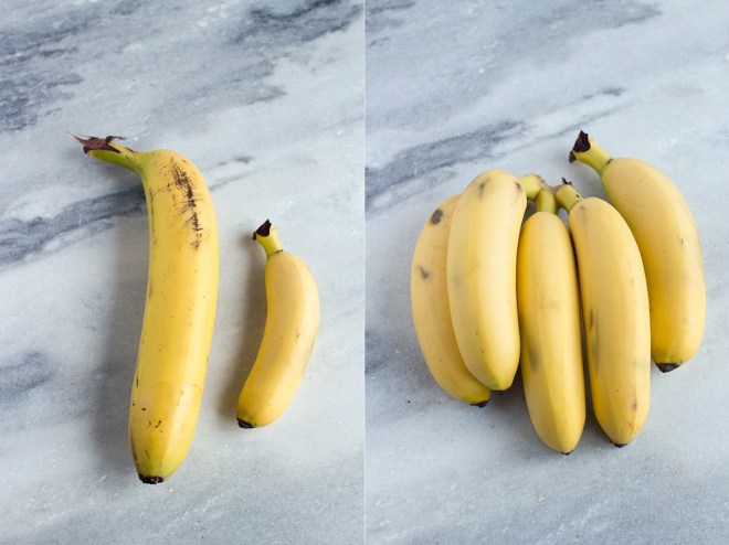 Baby bananas | chilitonka