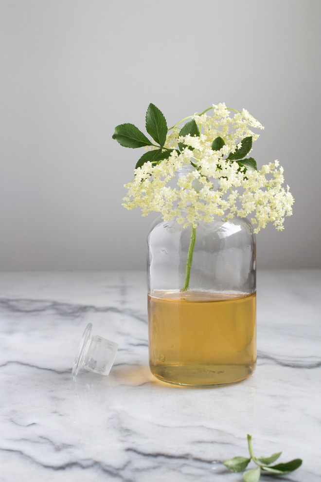 Elderflower syrup | chilitonka
